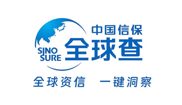 政府